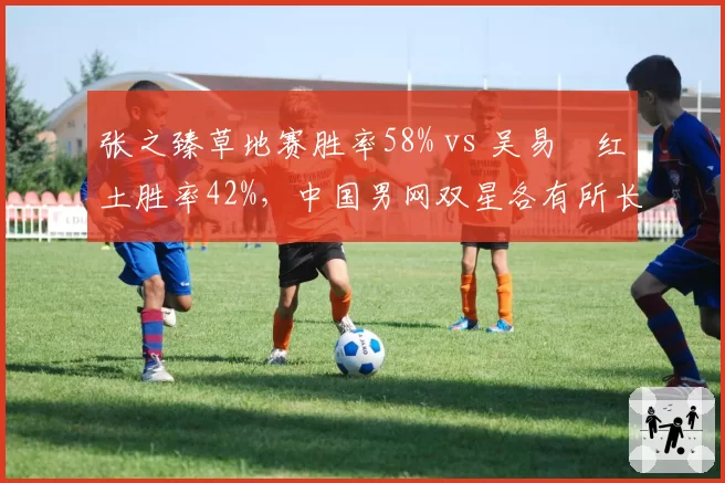 张之臻草地赛胜率58% vs 吴易昺红土胜率42%,中国男网双星各有所长