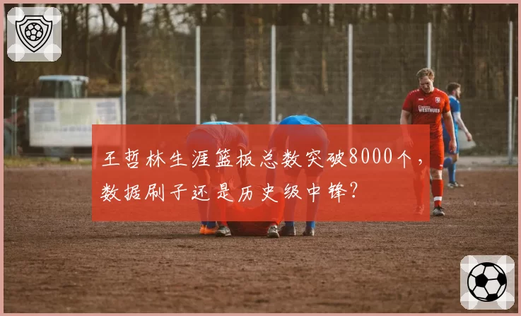 王哲林生涯篮板总数突破8000个，数据刷子还是历史级中锋？