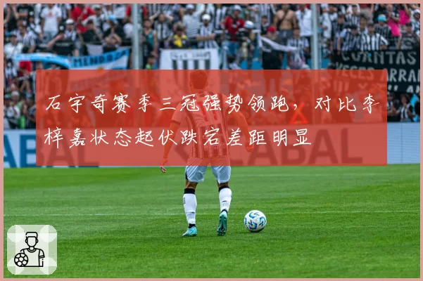 石宇奇赛季三冠强势领跑，对比李梓嘉状态起伏跌宕差距明显