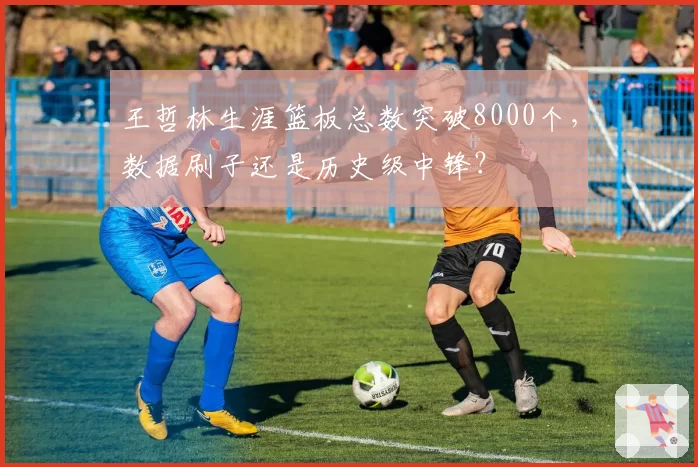 王哲林生涯篮板总数突破8000个，数据刷子还是历史级中锋？